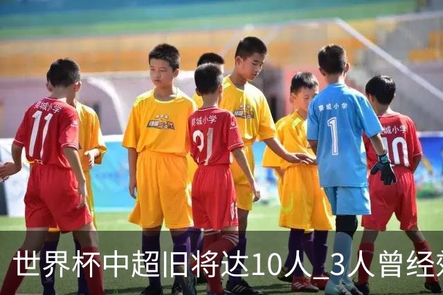 世界杯中超旧将达10人 3人曾经效力国安海港两将